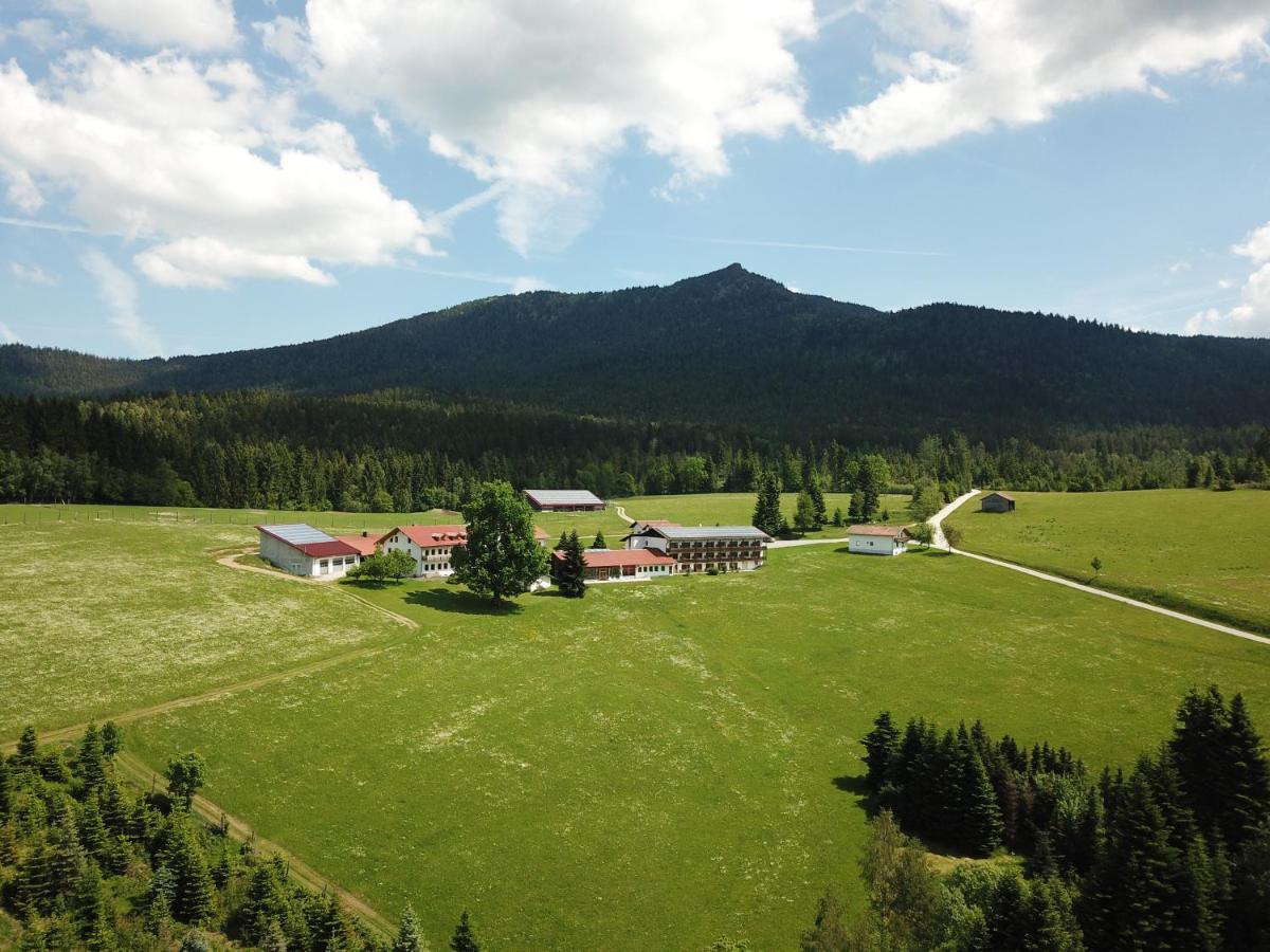 Osserhotel Garni Lohberg Kültér fotó