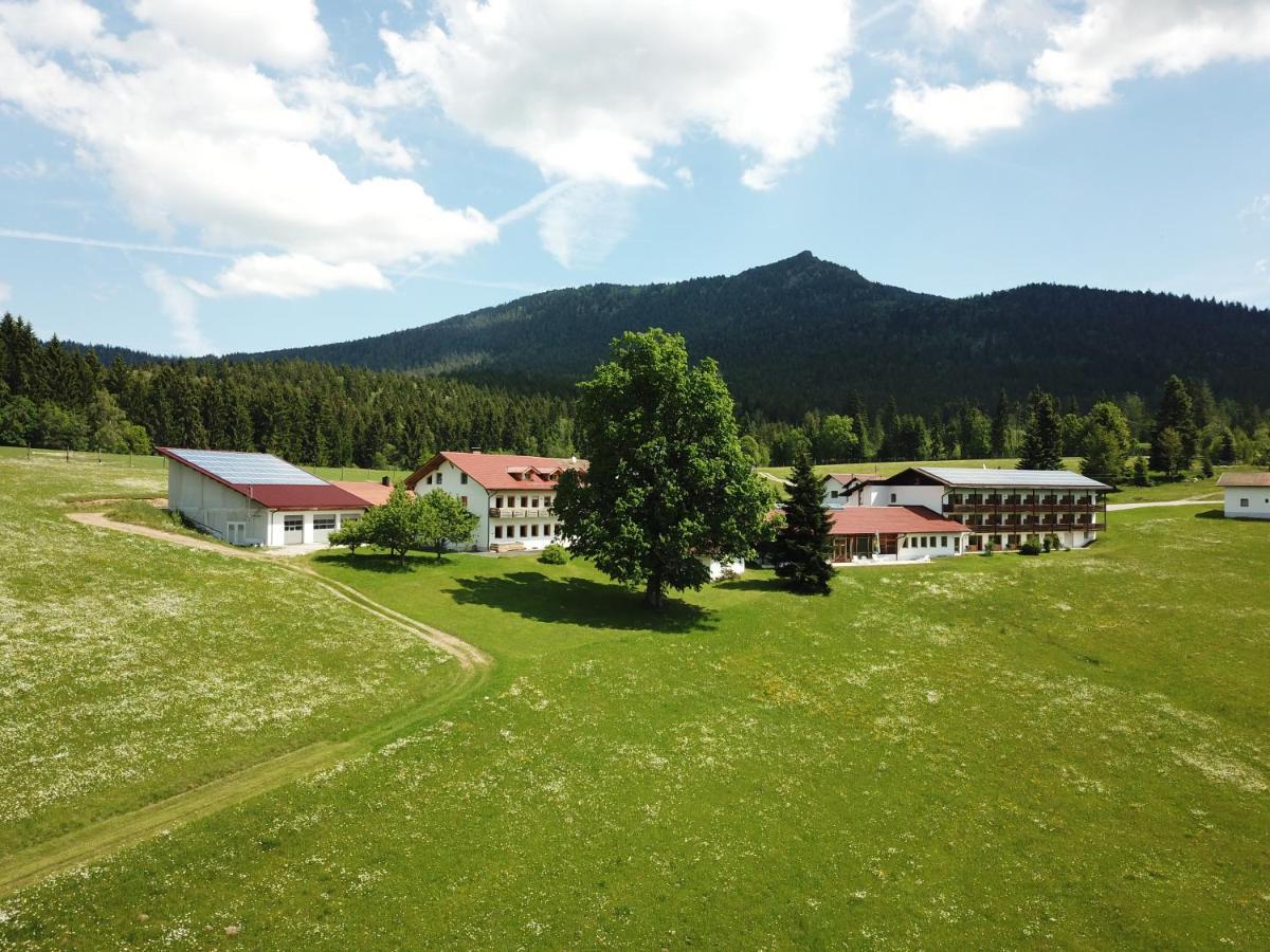 Osserhotel Garni Lohberg Kültér fotó