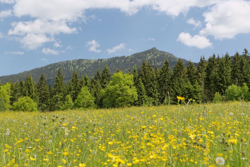 Osserhotel Garni Lohberg Kültér fotó