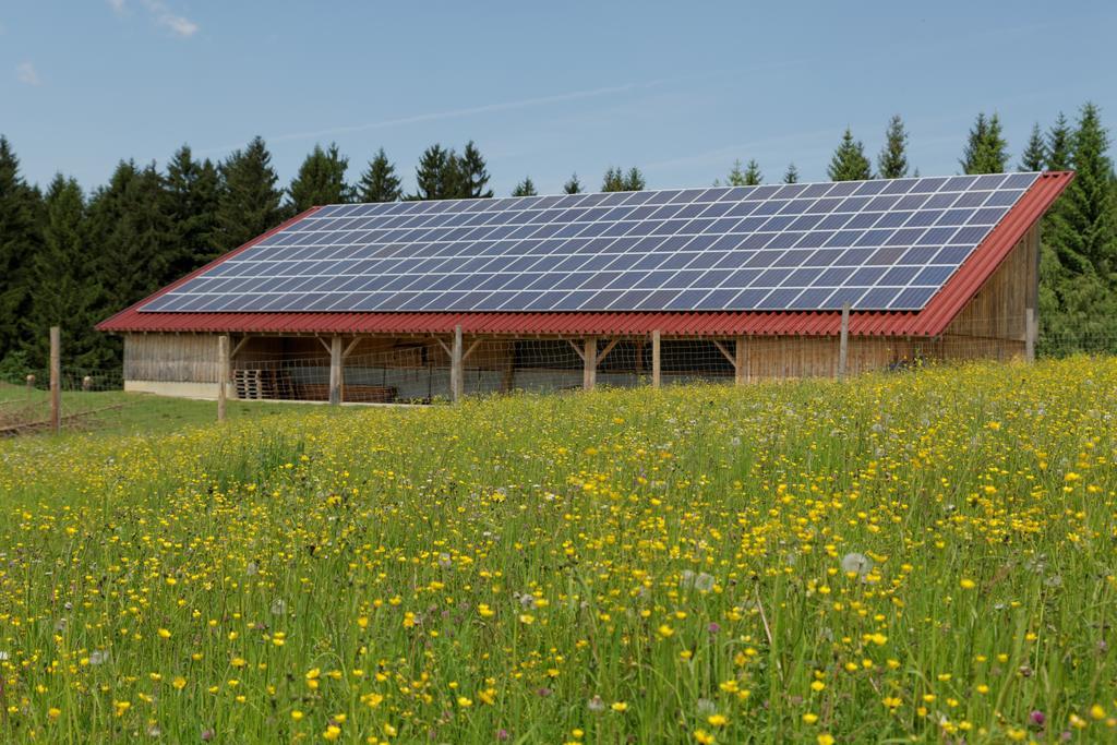 Osserhotel Garni Lohberg Kültér fotó