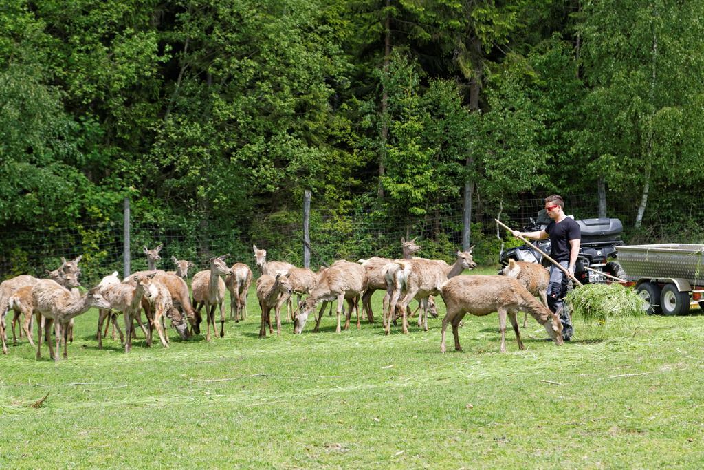 Osserhotel Garni Lohberg Kültér fotó