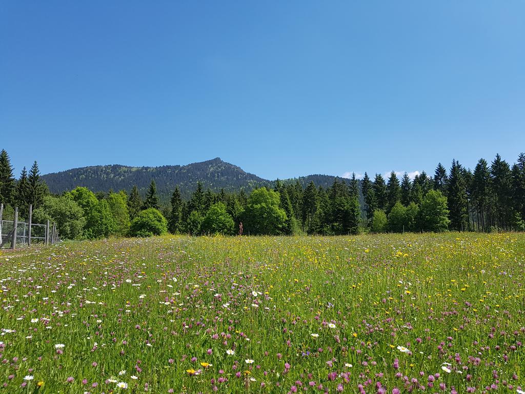 Osserhotel Garni Lohberg Kültér fotó