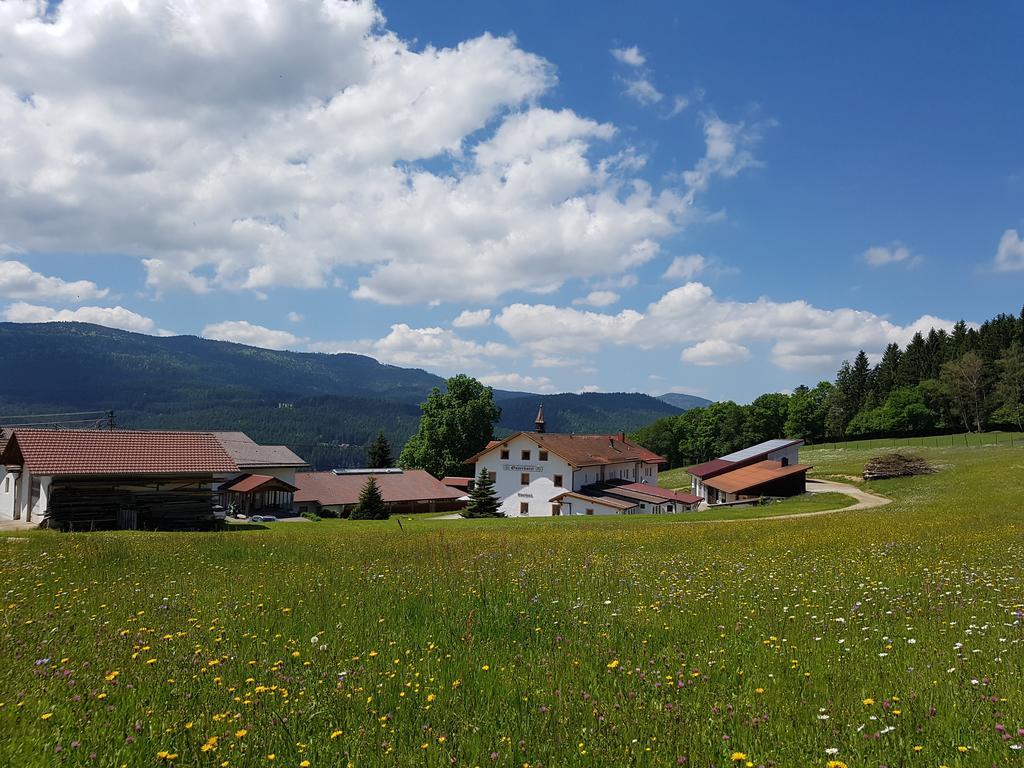 Osserhotel Garni Lohberg Kültér fotó